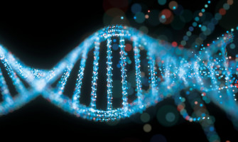 Kas Dokusunun İlginç Özelliği: Plastisite